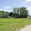 ...das Wasser wurde auf Grund der Bauarbeiten zur Gartenschau 2019 in Wassertrüdingen abgelassen