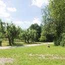 Die bereits bestehende Streuobstwiese wird in das Ausstellungskonzept der Gartenschau 2019 in Wassertrüdingen aufgenommen